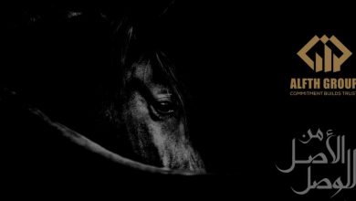 الفتح جروب سكاي بريدج العاصمة الإدارية